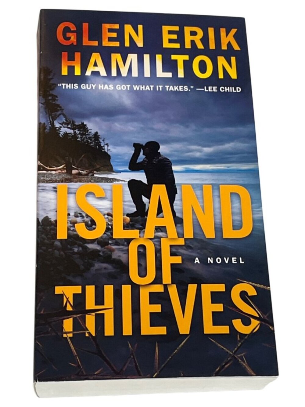 Island of Thieves Glen Erik Hamilton Van Shaw Series Paperback Thriller Book